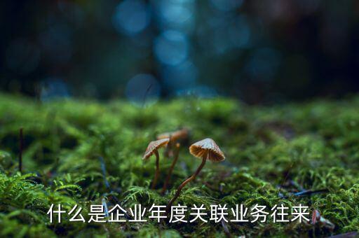 什么是企業年度關聯業務往來