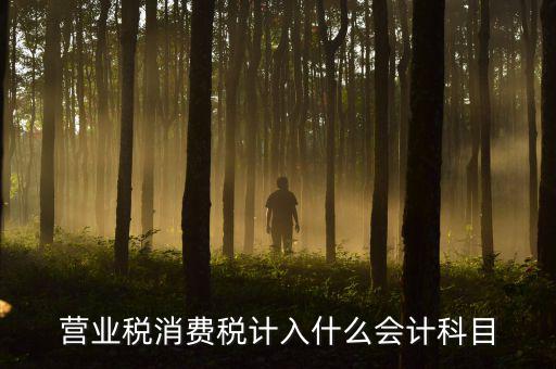 營業稅記什么科目，企業應交營業稅可以記入那個科目