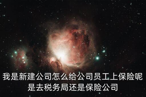 稅務局保險是什么，稅務局讓企業交得規費和參保費是什么