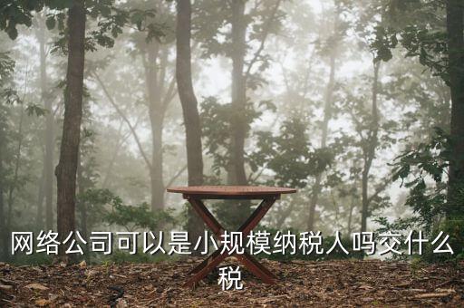 網絡公司可以是小規模納稅人嗎交什么稅