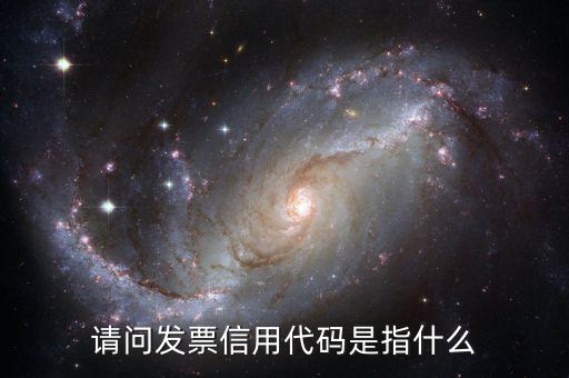 國(guó)稅開普票信用代碼是什么，發(fā)票上的統(tǒng)一社會(huì)信用代碼是什么