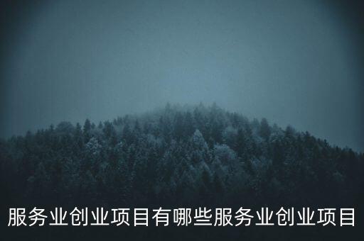 服務業創業項目有哪些服務業創業項目
