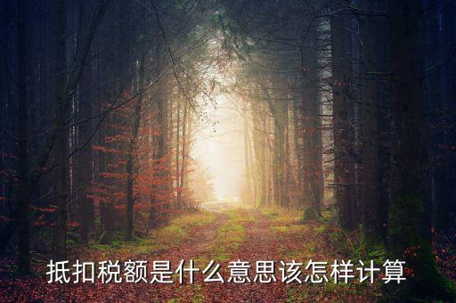 抵免稅額是什么意思，抵扣稅額是什么意思該怎樣計(jì)算