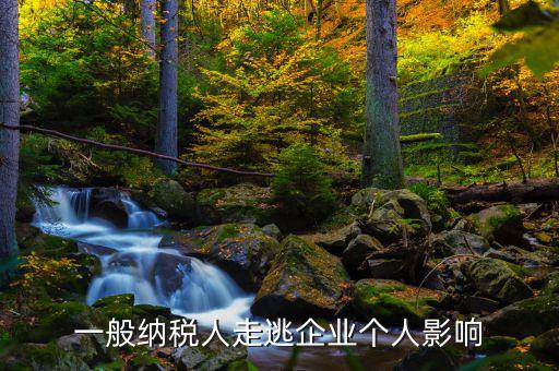一般納稅人走逃企業個人影響