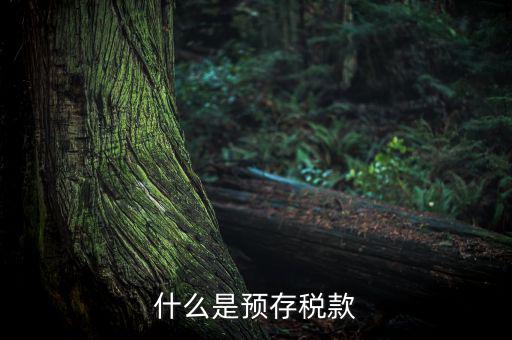預繳稅款是什么意思，企業所得稅年度申報系統初始數據的預繳稅額是什么意思