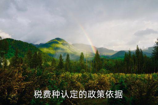 什么是稅費種認定信息查詢，稅費種認定信息在哪里查看