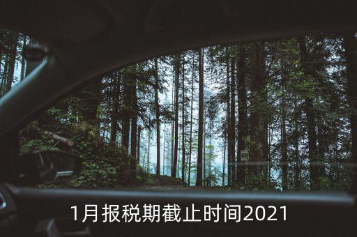 1月份地稅什么時候申報，報稅一般都是每個月什么時候報稅