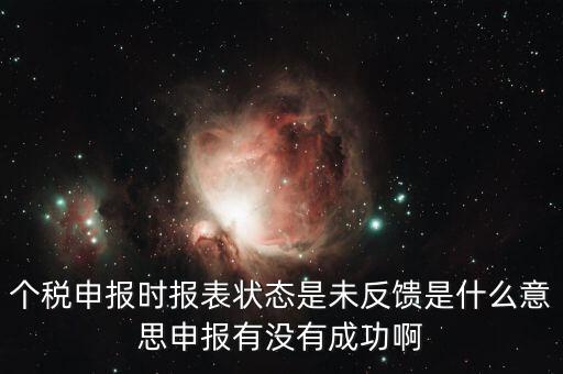 個稅申報時報表狀態是未反饋是什么意思申報有沒有成功啊
