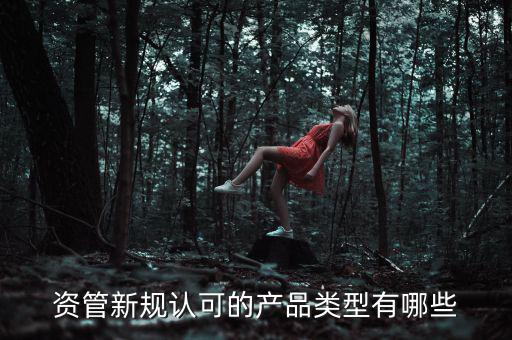 資管新規認可的產品類型有哪些