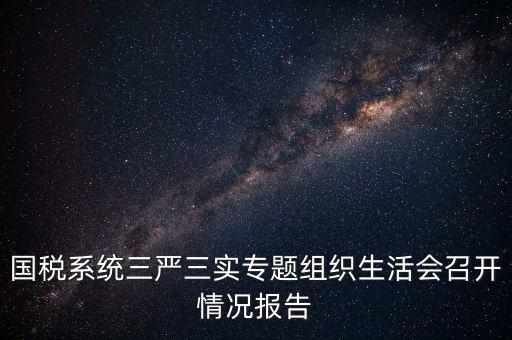 國稅系統三嚴三實專題組織生活會召開情況報告