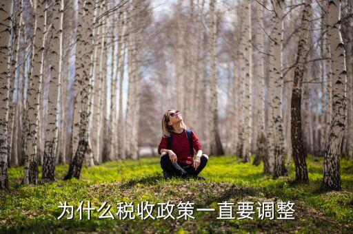 為什么進行納稅調整，我國為什么要進行個人所得稅調整高中政治