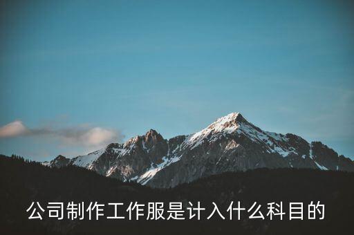 工作服屬于什么稅收分類編碼，稅控上商品和服務稅收分類編碼怎么填