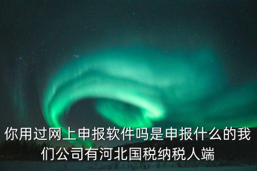企業申報客戶端是什么，你用過網上申報軟件嗎是申報什么的我們公司有河北國稅納稅人端