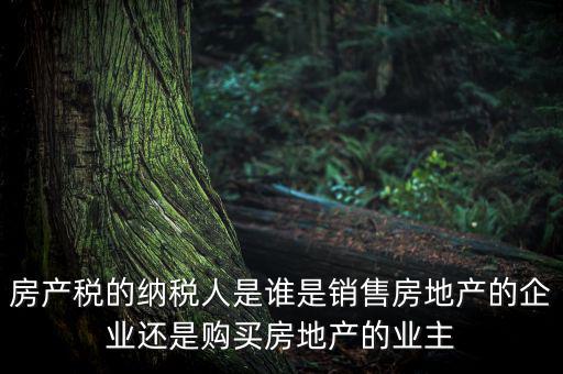房產稅的納稅人是誰是銷售房地產的企業還是購買房地產的業主