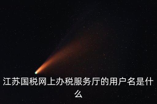 網上辦稅用戶名是什么，江蘇國稅網上辦稅服務廳的用戶名是什么