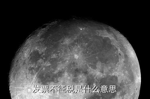 發票不征稅是什么意思