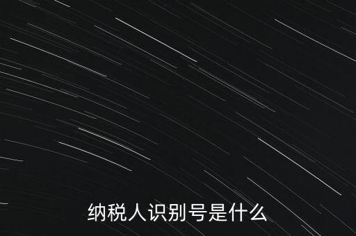 山西國稅納稅人識別號是什么，納稅人識別號是什么