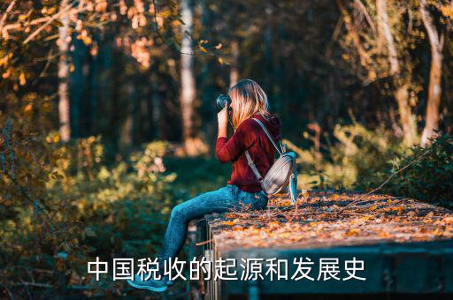 稅收產生于什么社會，稅收的起源