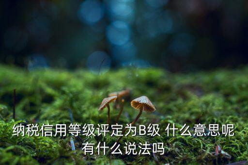 國(guó)稅b級(jí)信用是什么意思，納稅信用等級(jí)評(píng)定為B級(jí) 什么意思呢有什么說法嗎