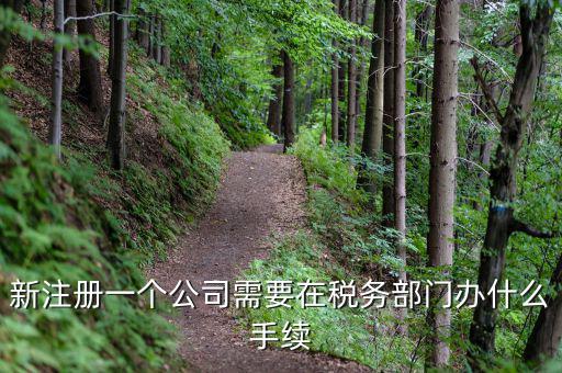 新辦企業(yè)需要到地稅辦理什么手續(xù)費，新注冊一個公司需要在稅務(wù)部門辦什么手續(xù)