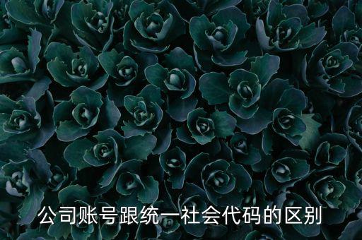 賬號(hào)上的統(tǒng)一社會(huì)代碼是什么意思，統(tǒng)一社會(huì)信用代碼有什么用