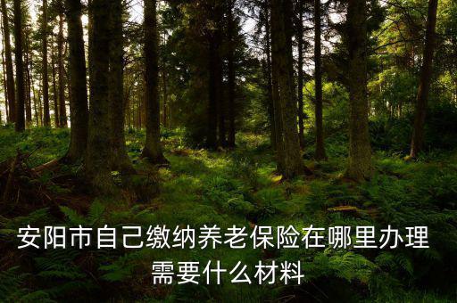 安陽地稅局交個人保險在什么地方，安陽市醫(yī)保交費在哪里地稅局