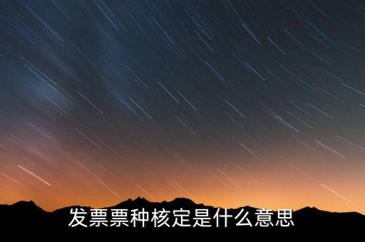 發票票種核定是什么意思