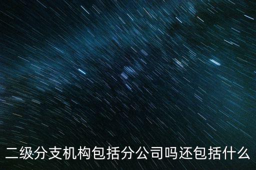 什么是二級分支機構，現在分公司要辦稅務登記證但是我想問一下二級分機構指的是
