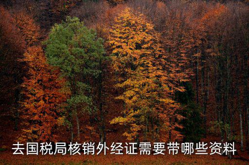 去國稅局核銷外經證需要帶哪些資料