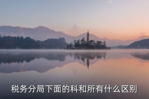 稅務分局下面的科和所有什么區別