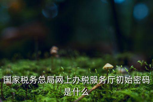 安徽個(gè)稅申報(bào)密碼是什么意思，國家稅務(wù)總局網(wǎng)上辦稅服務(wù)廳初始密碼是什么