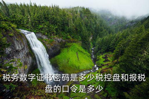 寧波國稅安裝證書密碼是什么意思，企業國稅賬戶密碼指什么意思