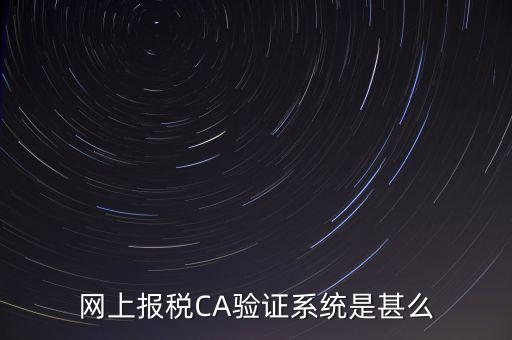 網上報稅CA驗證系統是甚么