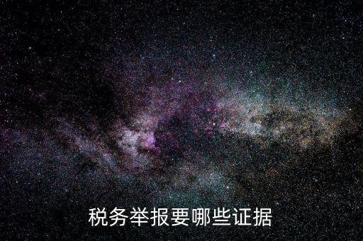 稅務舉報要哪些證據