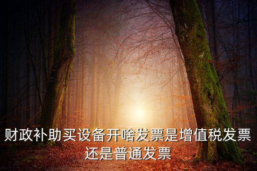 財政補助買設備開啥發票是增值稅發票還是普通發票