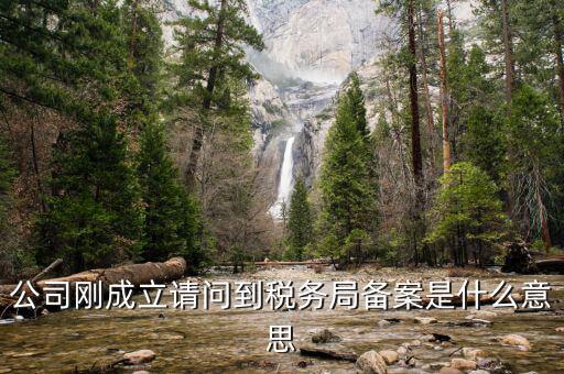 公司剛成立請問到稅務局備案是什么意思