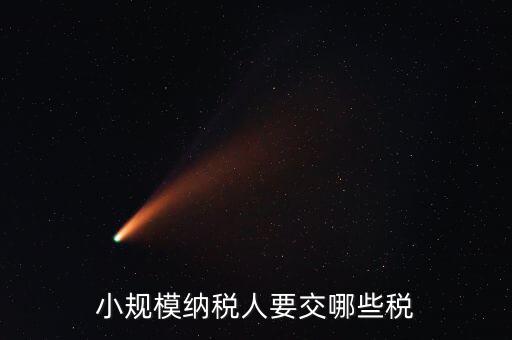 小規模納稅人要交哪些稅
