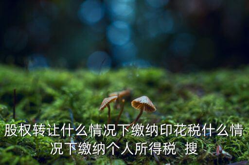 股權轉讓什么情況下繳納印花稅什么情況下繳納個人所得稅  搜