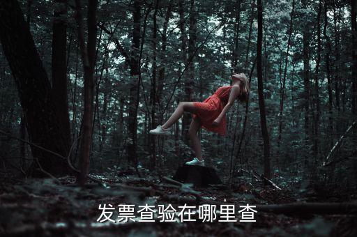 發票查驗在哪里查