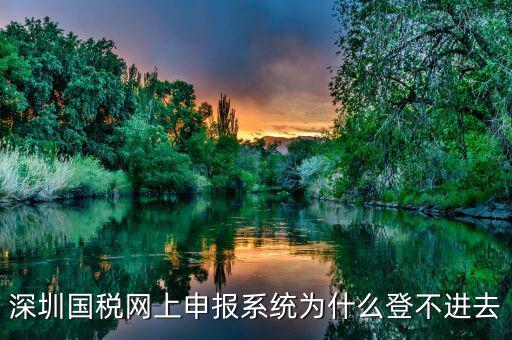深圳國稅網上申報系統為什么登不進去