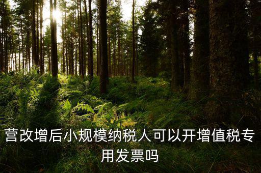 營改增后小規模納稅人可以開增值稅專用發票嗎