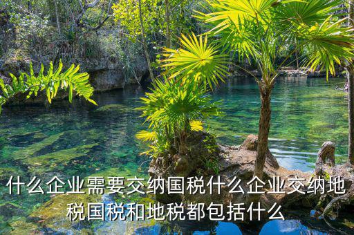 什么企業需要交納國稅什么企業交納地稅國稅和地稅都包括什么