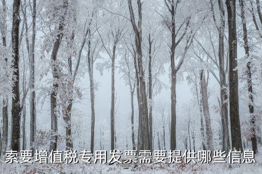 索要增值稅專用發票需要提供哪些信息