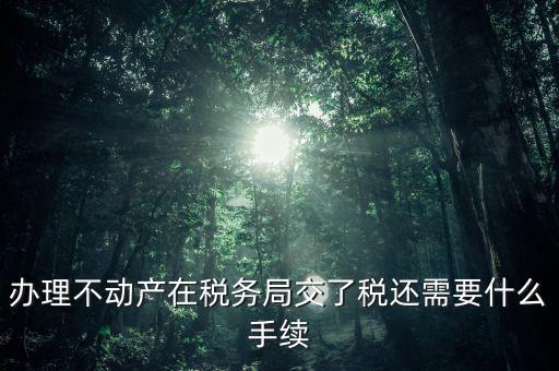 國稅辦完之后辦什么手續，公司去國稅辦理了稅務登記之后還要做什么