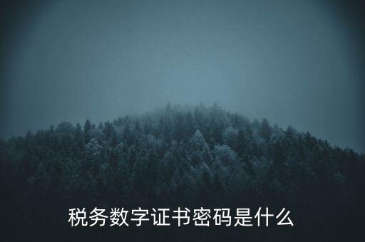 輸入稅務數字證書密碼是什么，稅務數字證書密碼是什么