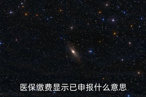 醫保繳費顯示已申報什么意思