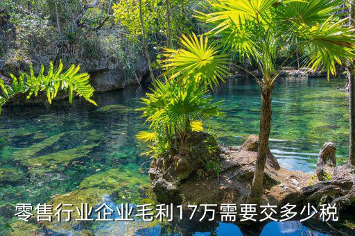 零售行業企業毛利17萬需要交多少稅
