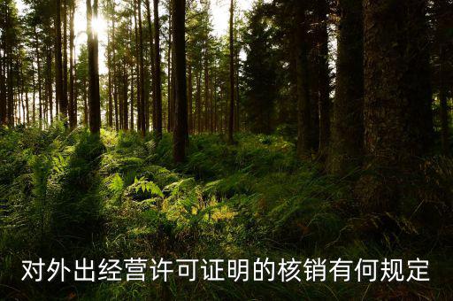 對外出經營許可證明的核銷有何規定