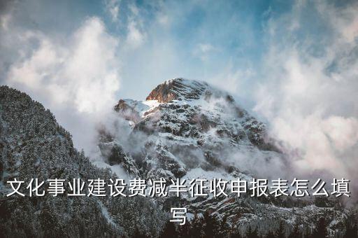 什么叫文化事業建設費申報表，文化事業建設費申報表怎么填