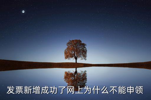 發票新增成功了網上為什么不能申領